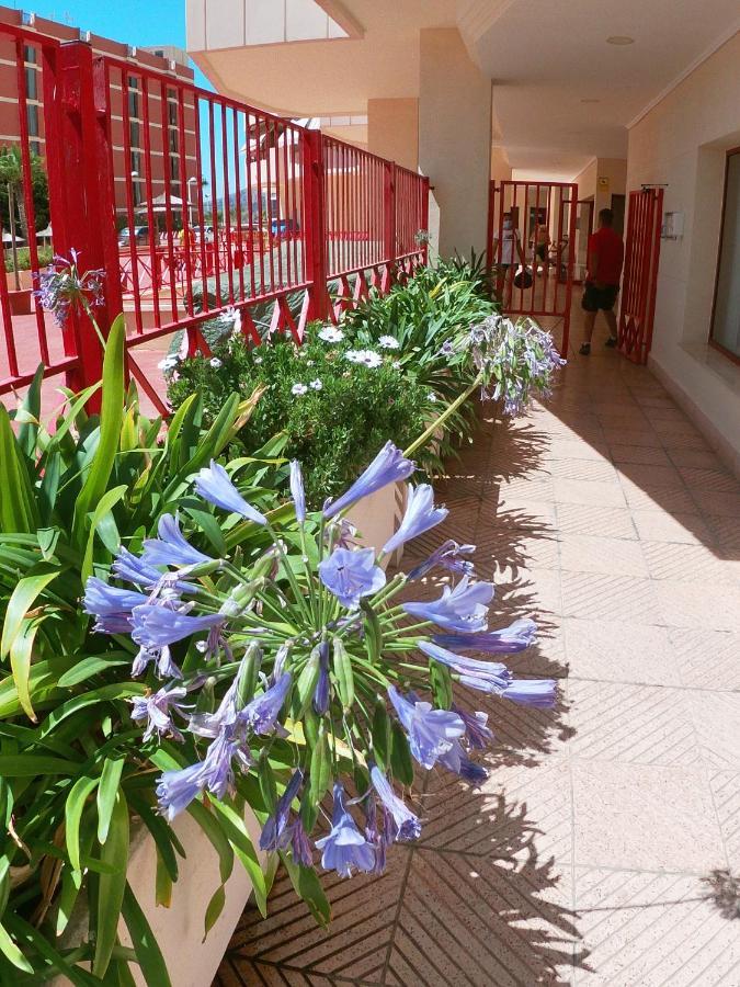 Holiday Apartment Amatista 칼페 외부 사진